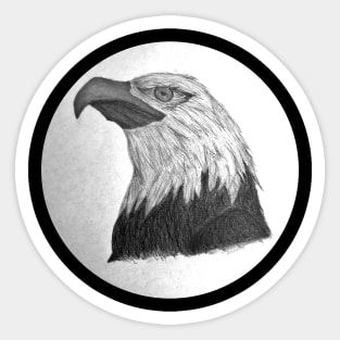 Bald Eagle Sticker